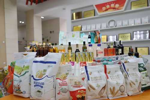 新津縣委書記調研企業(yè)疫情防控工作,鼓勵企業(yè)化危為機,服務社會